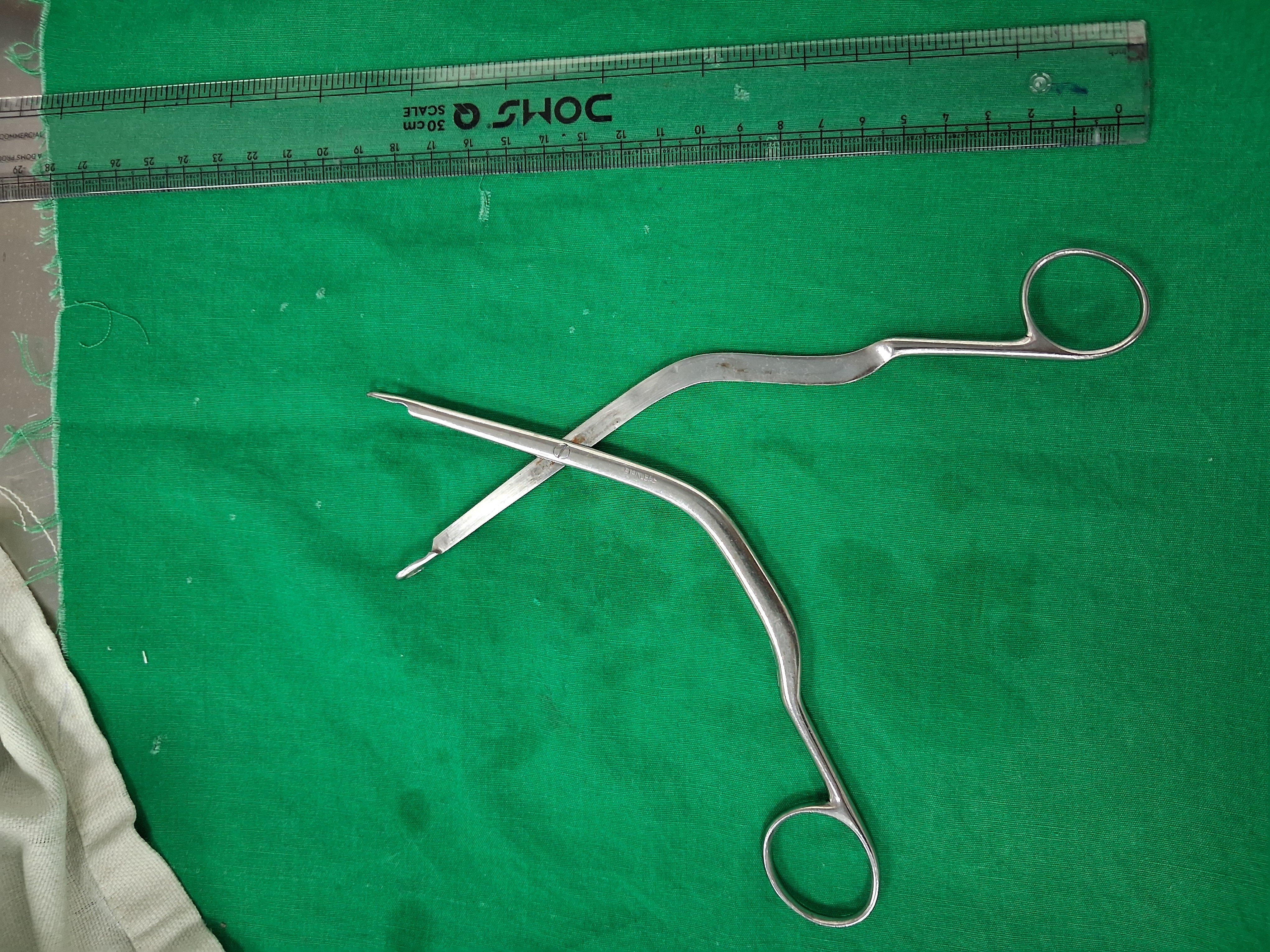 LUC TURBINATE NASAL FORCEPS